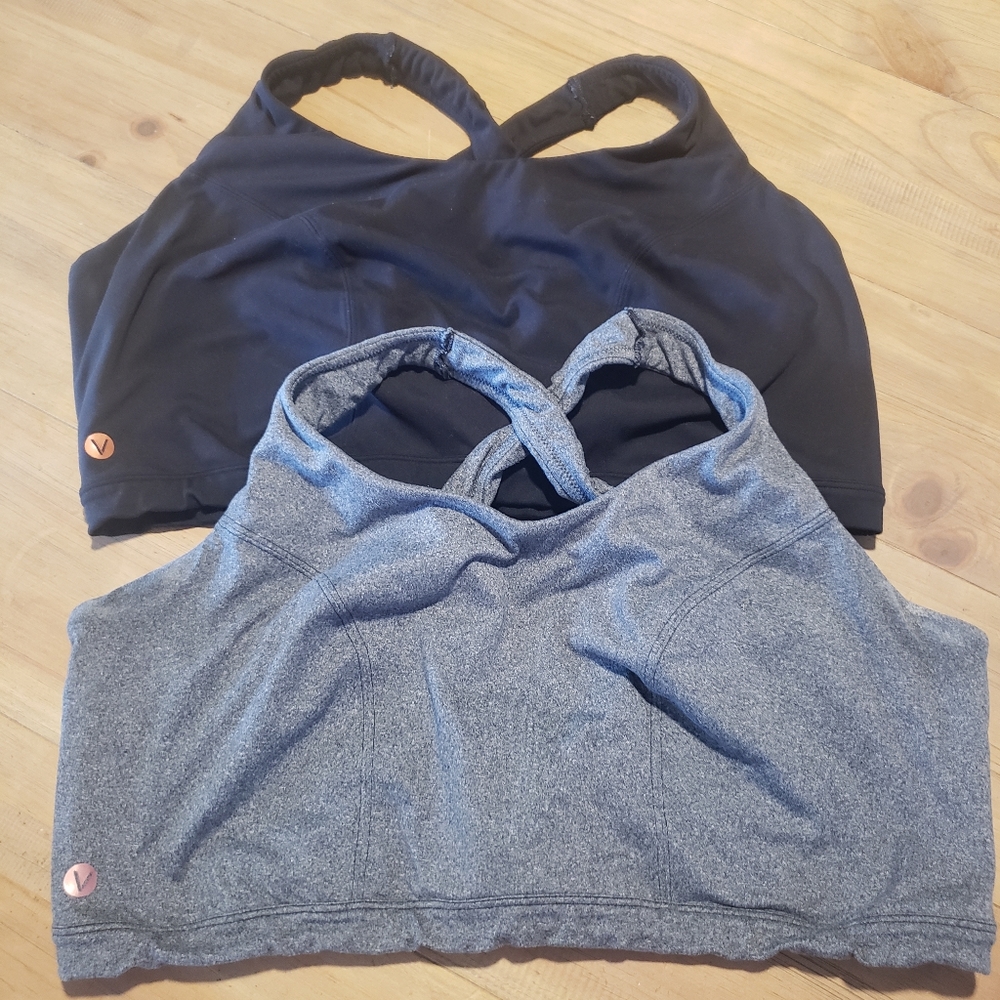 2 Lane Bryant sports bras